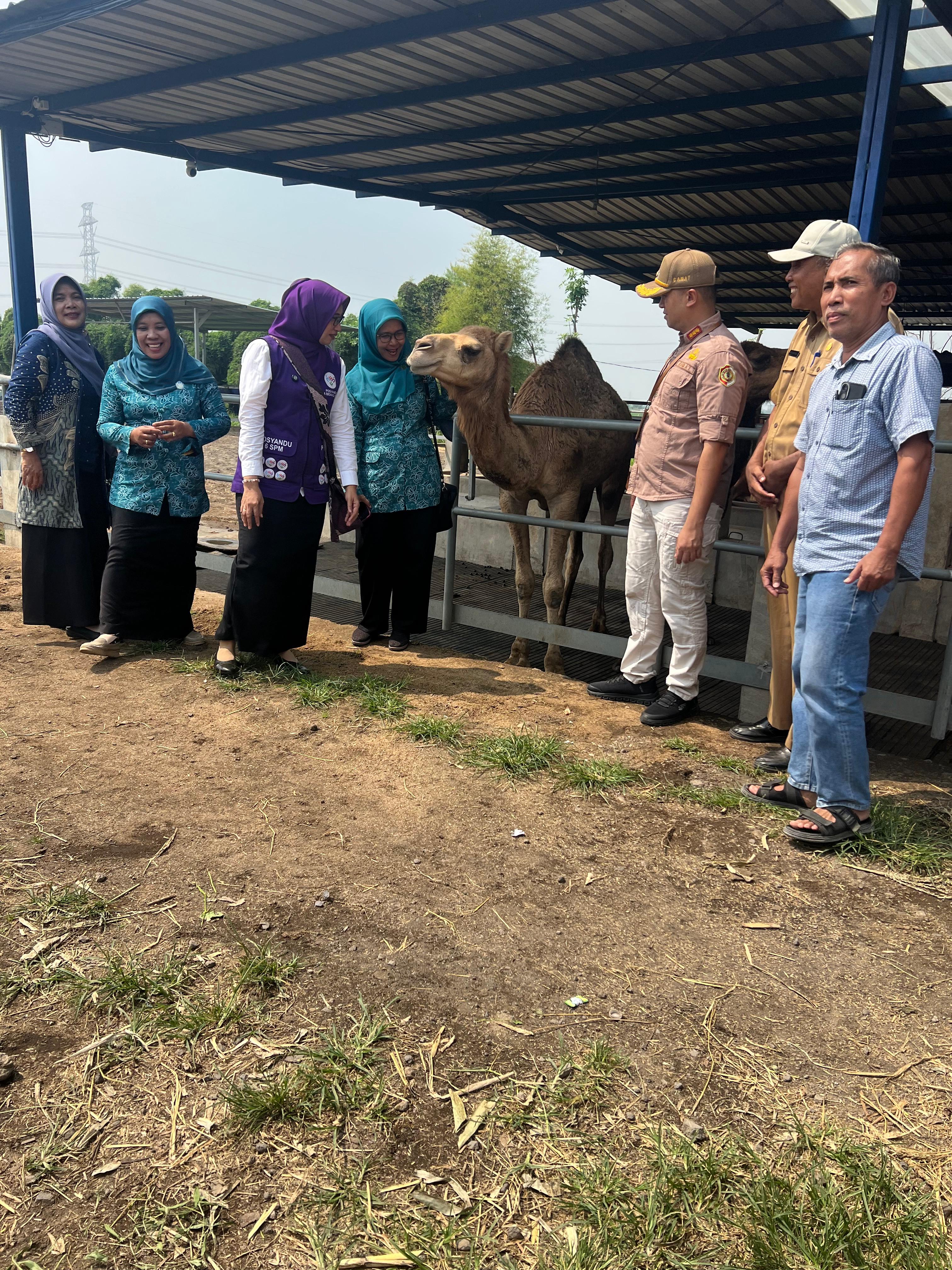 Berkah Wafa Farm Mojokerto Dikunjungi Ketua TP PKK Kabupaten Mojokerto, Ning Hanna